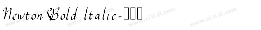 Newton Bold ltalic字体转换